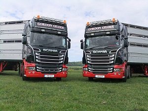 Scania R730's