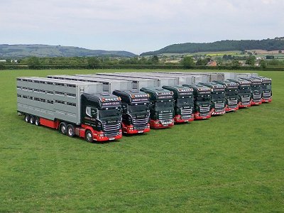 10 Decker Fleet