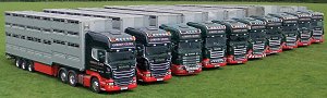 Livestock Decker Fleet