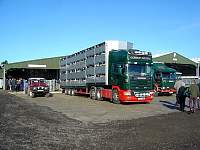 gild0022.jpg