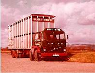 gild0036.jpg