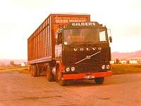 gild0052.jpg