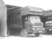 gild0055.jpg