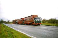 gild0069.jpg