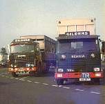 gild0077.jpg