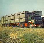 gild0078.jpg