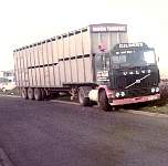 gild0079.jpg