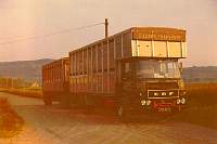 gild0102.jpg