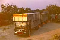 gild0103.jpg