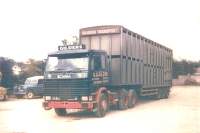 gild0105.jpg