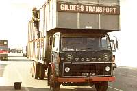 gild0106.jpg