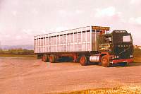 gild0109.jpg