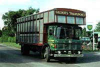 gild0116.jpg