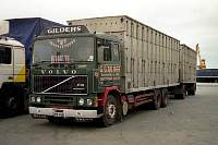 gild0120.jpg