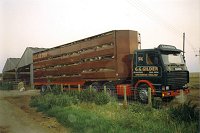 gild0127.jpg