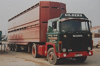 gild0128.jpg