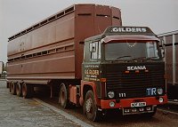 gild0129.jpg