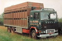 gild0131.jpg