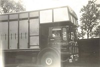 gild0138.jpg