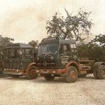 gild0143.jpg