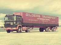 gild0160.jpg