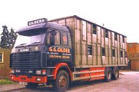 gild0184.jpg